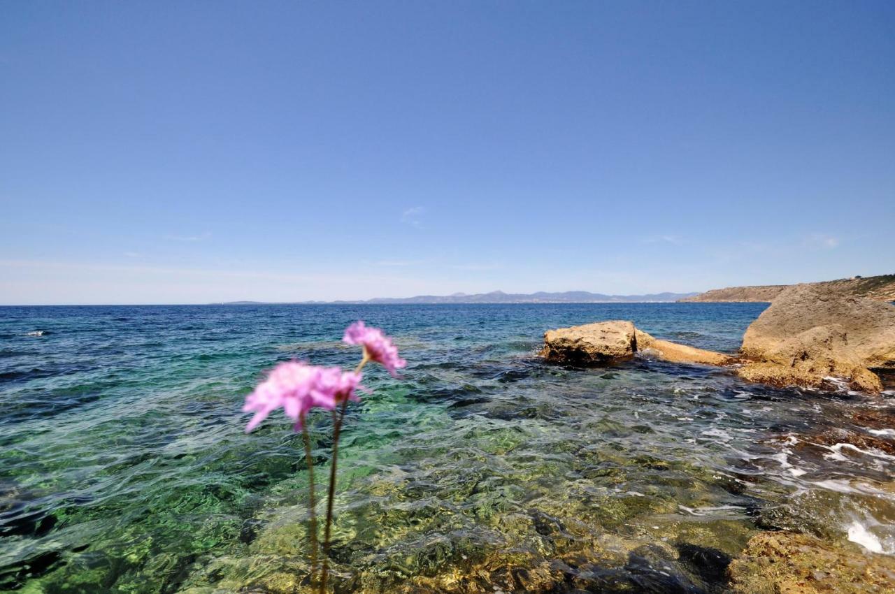 Villa Hugo- Badia Gran- Llucmajor- Mallorca 外观 照片